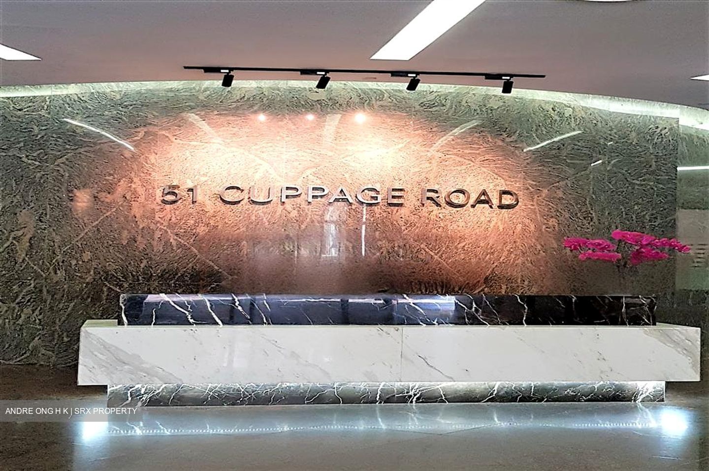51 Cuppage Road (D9), Office #451204781